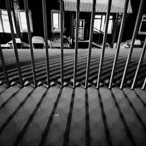 Photo #6991355