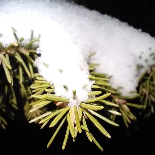 Photo #6991439