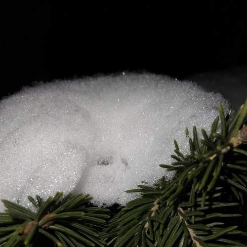 Photo #6991509