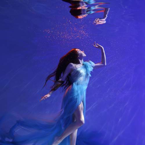 Photo #6991945