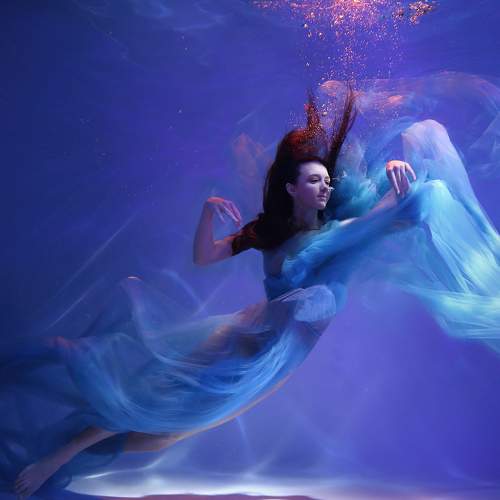 Photo #6991950