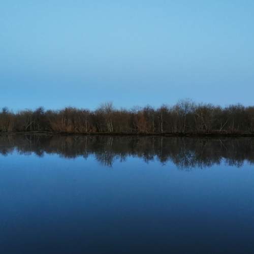 Photo #6992501