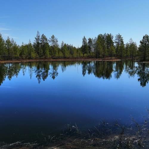Photo #6992502