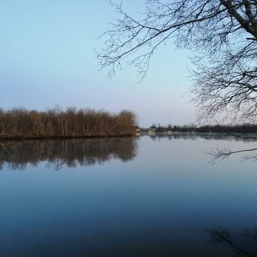 Photo #6992503