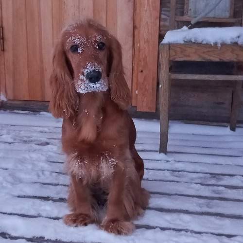 Photo #6993018