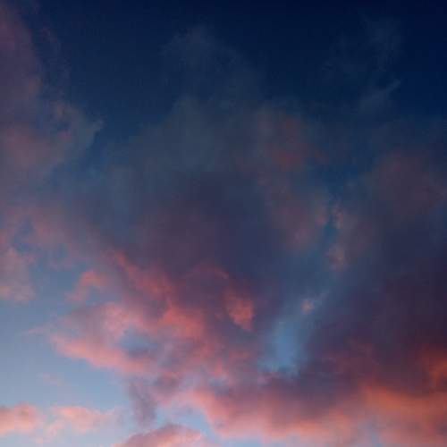 Photo #6993483