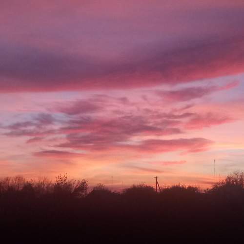 Photo #6993563