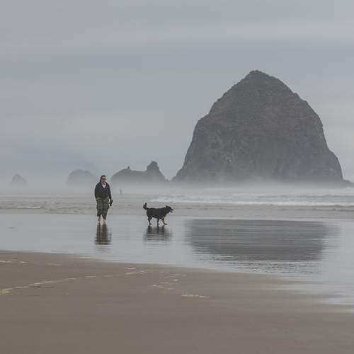 Photo #6993682