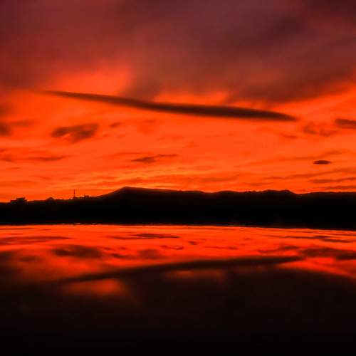 Photo #6993877