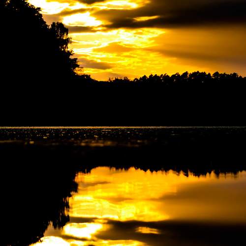 Photo #6993898