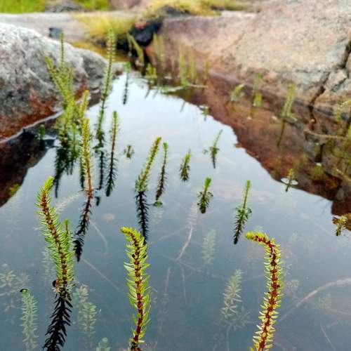 Photo #6994376