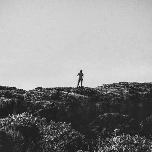 Photo #6994518