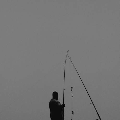 Photo #6994519
