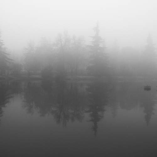 Photo #6994713