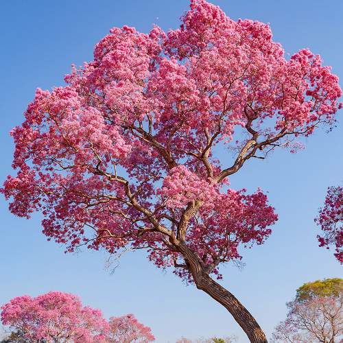 Photo #6994834
