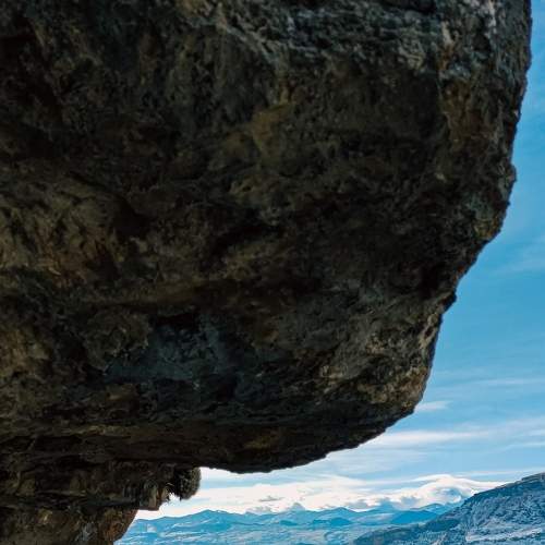 Photo #6995068
