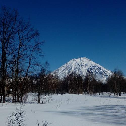 Photo #6995269