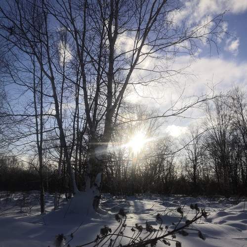 Photo #6995270