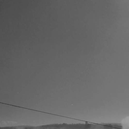 Photo #6995312