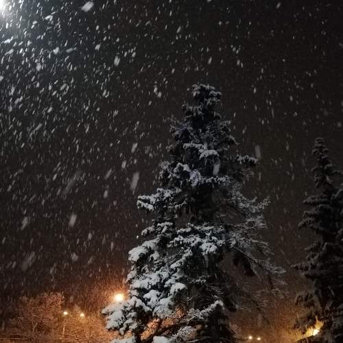 Photo #6995415