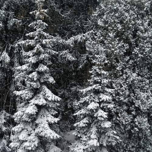 Photo #6995561