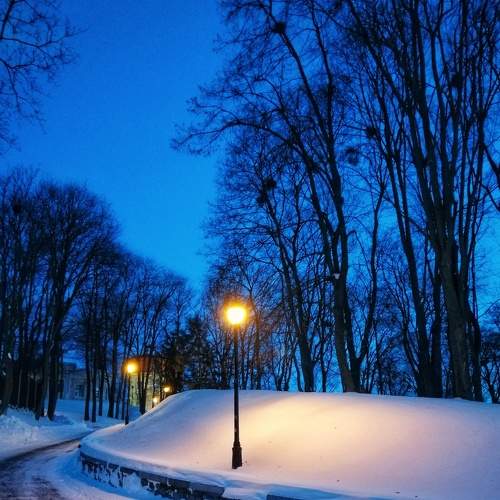 Photo #6995563