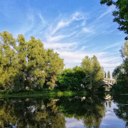 Photo #6995746