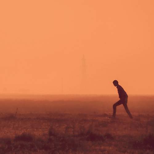 Photo #6995779