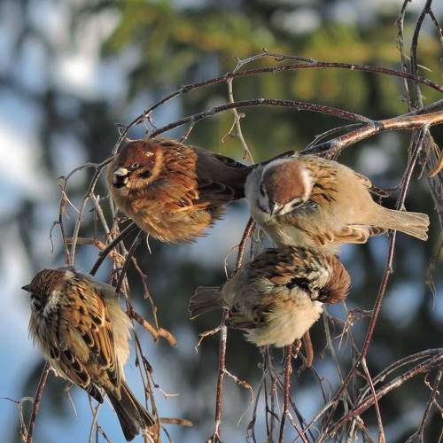 Photo #6996493