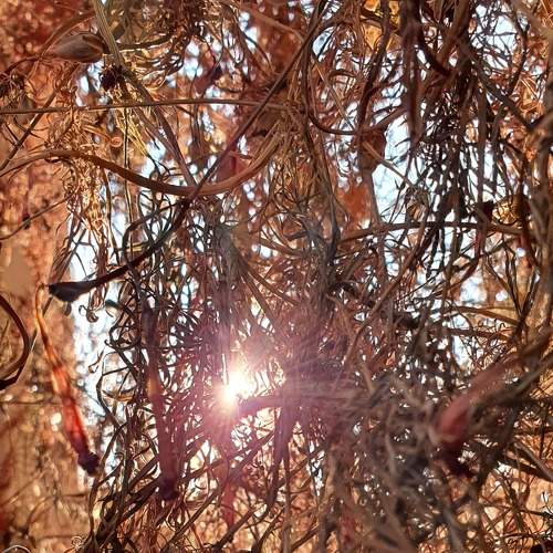 Photo #6996633