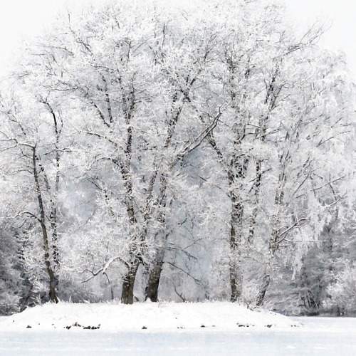 Photo #6996830