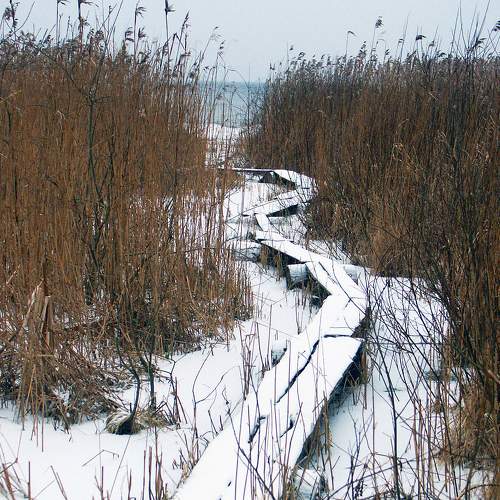 Photo #6996915