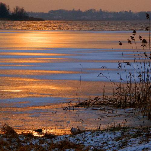 Photo #6996972