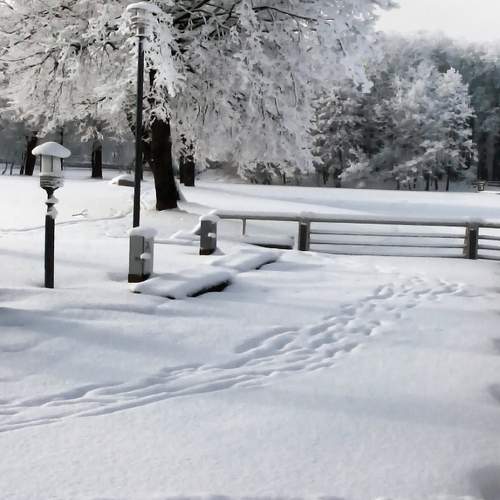 Photo #6997274