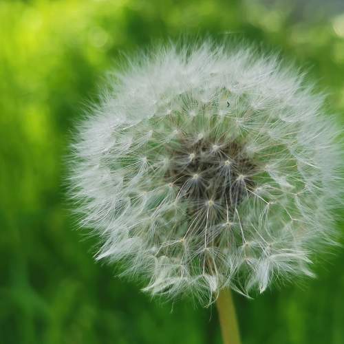 Photo #6997370