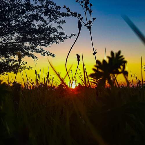 Photo #6997492