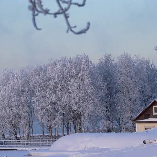 Photo #6997661