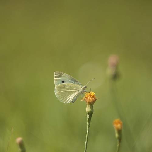 Photo #6998422