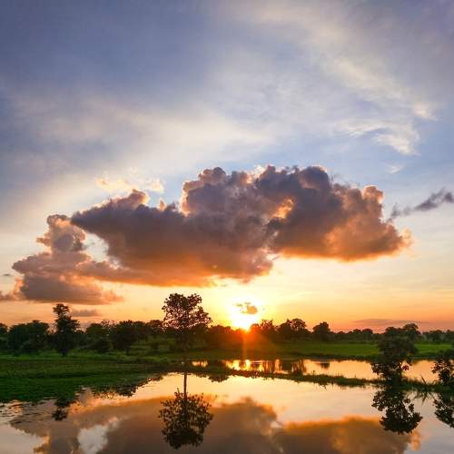 Photo #6998491