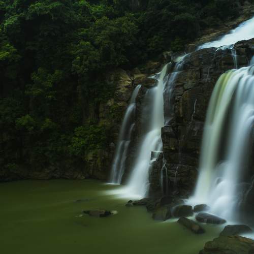 Photo #6998521
