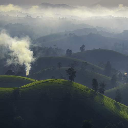 Photo #6998747