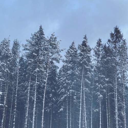 Photo #6998766