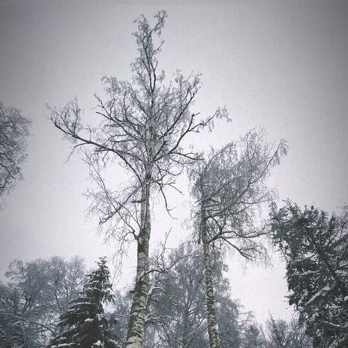 Photo #6998767