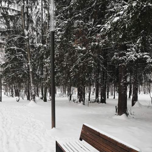 Photo #6998813
