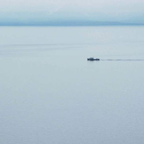 Photo #6999104