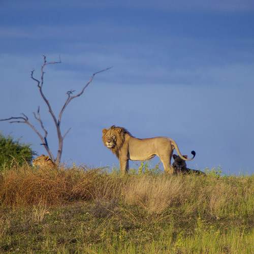 Photo #6999229