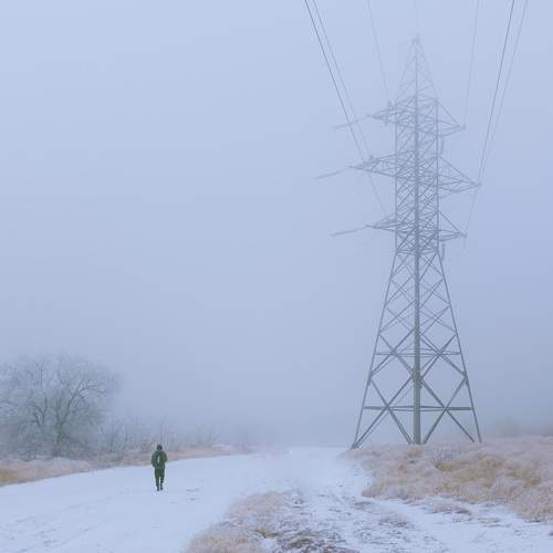 Photo #6999263