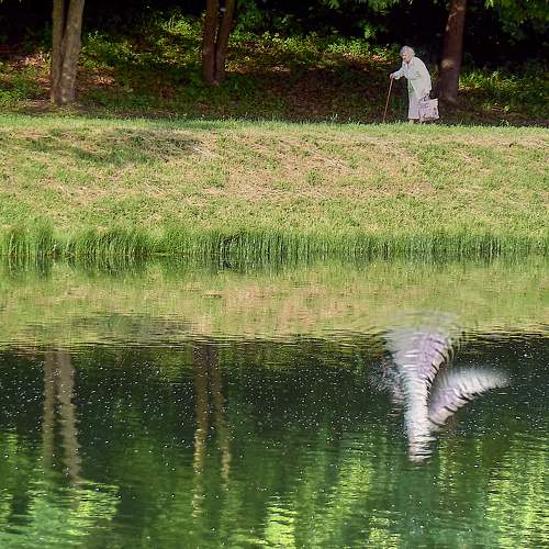 Photo #6999547
