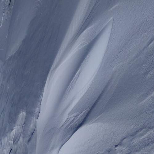 Photo #6999570
