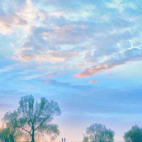 Photo #6999573